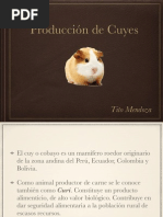 Clase 5. Producción de Cuyes