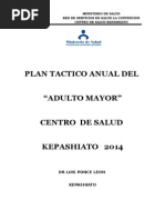 Plan de Trabajo Adulto Mayor