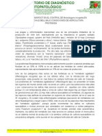 EVALUACIÓN DE NEMAROOT EN EL CONTROL DE Meloidogyne Incognita EN EL CULTIVO DE CHILE BELL BAJO CONDICIONES DE AGRICULTURA PROTEGIDA