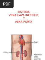 Sistema Vena Cava Inferior y Vena Porta