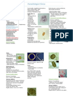 Resumo - Parasitologia Clinica