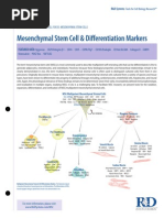 Mesenchymal Stem Cell Differentiation Markers