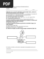 Prueba de Ciencias Naturales Tercero Básico