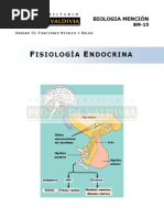 Sistema Endocrino PDV