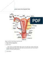 Wrap Up Kelainan Menstruasi