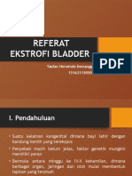 Ekstrofi Bladder