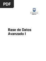 Manual de BDA I