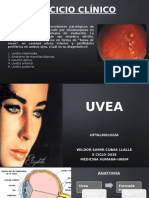 Patologías de La Uvea