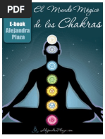 El Mágico Mundo de Los Chakras