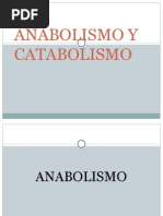 Anabolismo y Catabolismo