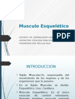 Exposicion de Musculo Esqueletico