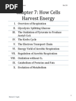 How Cells Harvest Energy