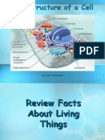 Levels of Organization and Cell Theory