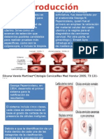 Prueba de Papan