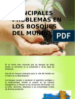 Principales Problemas en Los Bosques Del Mundo