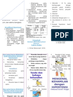 Leaflet Kehamilan Dengan Hipertensi