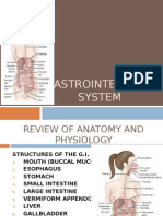 Digestive System