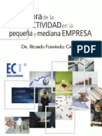 Productividad en Pequeñas y Medianas Empresas PDF