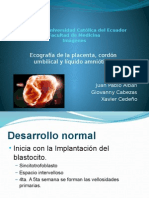 Imágenes Placenta