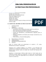 Esquema Informe Practicas Pre Profesionales