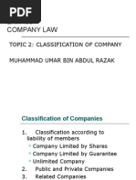 Topic 2 - Classification of Company