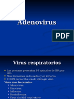 Adenovirus 1