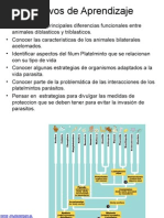 Características Bilaterales