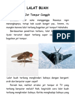 lalat buah bagai jet tempur.pdf