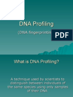 DNA Fingerprinting Powerpoint