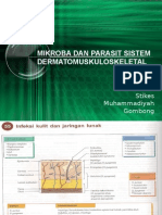 Mikroba Sistem Dermatomuskuloskeletal