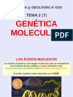 Genetica Molecular