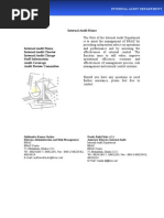 BRAC Internal Audit Charter