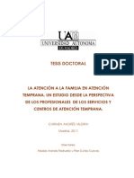 La Atención A La Familia en Atención Temprana. Un Estudio Desde La Perspectiva de Los Profesionales de Los Servicios y Centros de Atención Temprana.