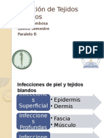 Infección de Tejidos Blandos