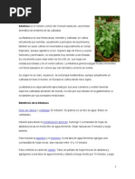 Plantas Medicinales