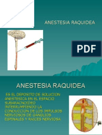 Anestesia Raquidea