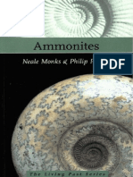 Ammonites