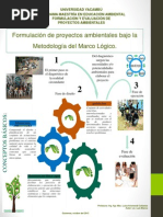 Infografía: Formulación de Proyectos Ambientales Bajo La Metodología Del Marco Lógico