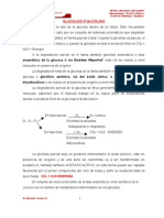 GLUCOGENESIS - Glucolisis-Via de Ac. Uronicos