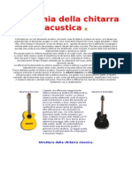 Anatomia Della Chitarra Acustica