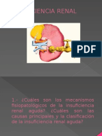 Insuficiencia Renal