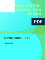 Reproduksi Sel, Hewan, Dan Tumbuhan