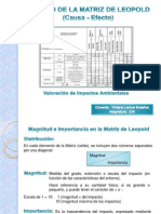 Matriz de Leopold