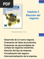 Eleccion Del Negocio