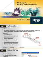 Mesh-Intro 15.0 WS 07e Manifold