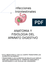 Infecciones Gastrointestinales