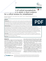 An Investigation of Cortical Neuroplasticity Following Stroke in Adults: Is There Evidence For A Critical Window For Rehabilitation?