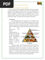 Alimentacion en La Insuficiencia Renal