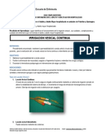 Guiìa Complementaria Irrigacion Vesical