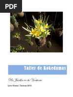 Guia de Kokedamas PDF